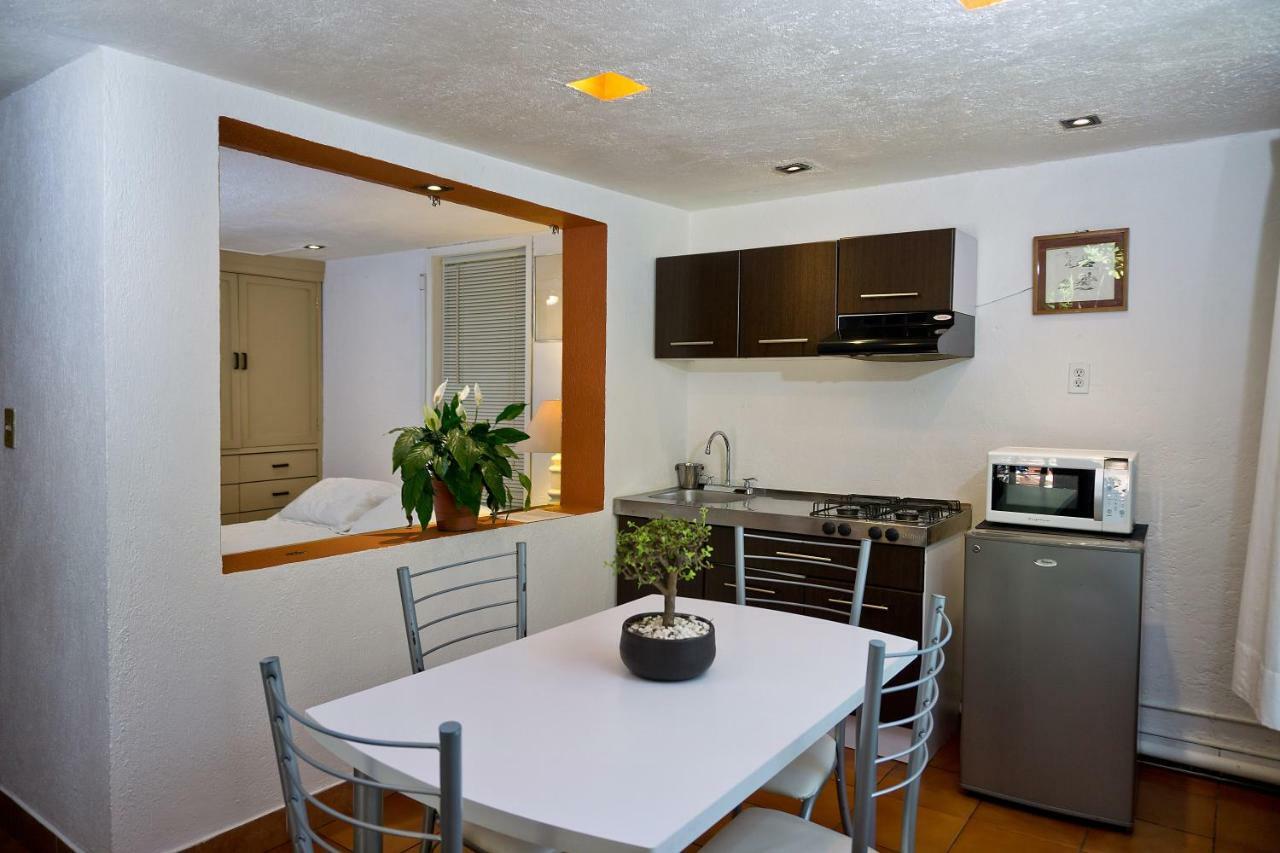 Suite 4A, Terraza, Garden House, Welcome To San Angel Mexico City Ngoại thất bức ảnh