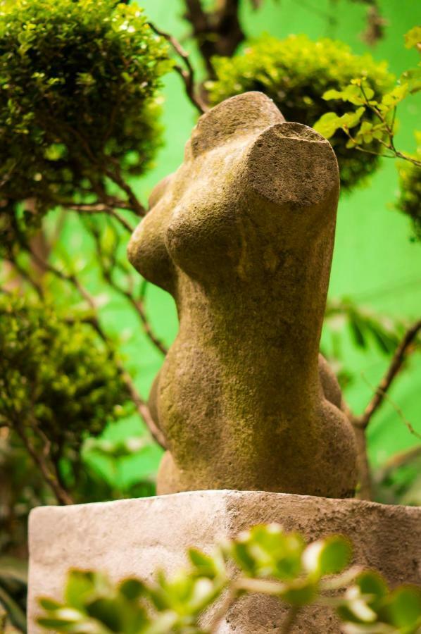 Suite 4A, Terraza, Garden House, Welcome To San Angel Mexico City Ngoại thất bức ảnh